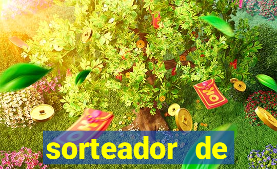 sorteador de numeros bingo online